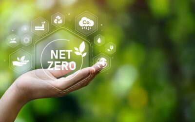 Greening the Assembly Line: Net Zero Practices in Factory Operations